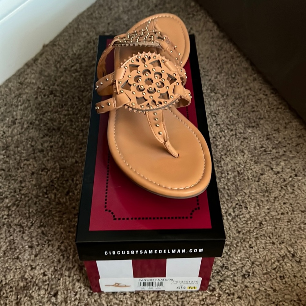 Sam Edelman Circus Thongs